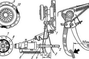 Регулировка свободного хода сцепления на различных моделях авто